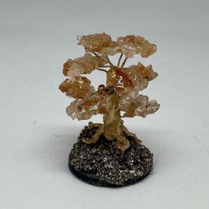 MINI TREE STONES CT