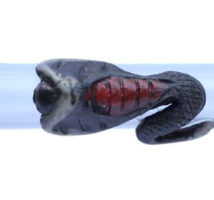 GPC-COBRA/L